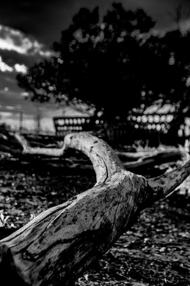 Photograph by Сергей Синягин