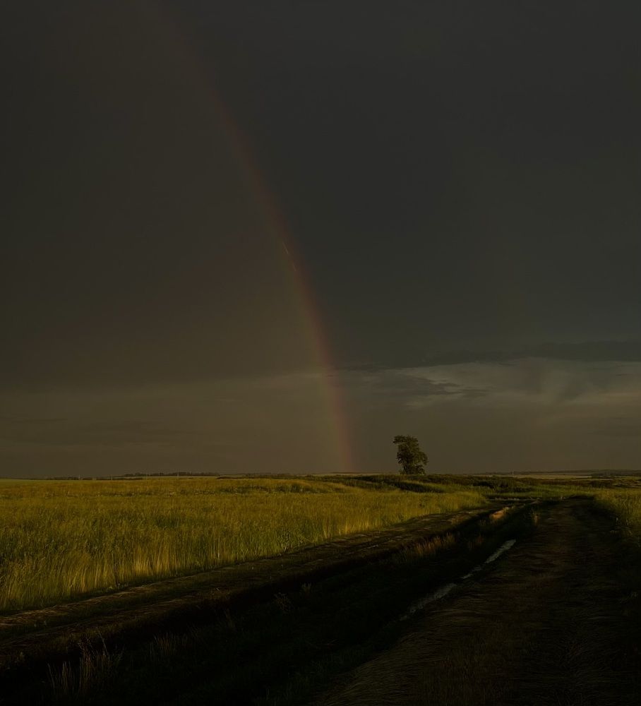 Photograph by Наталья Богаткина