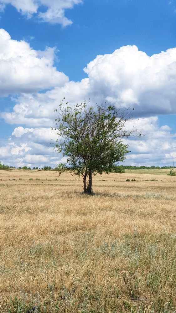 Фотография автора Ольга Меньшенина