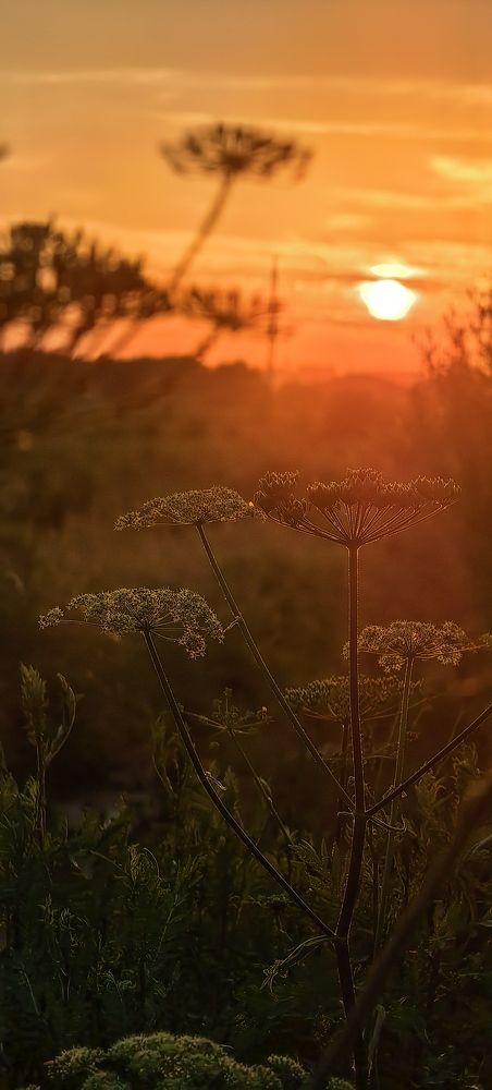 Photograph by Яна Королева