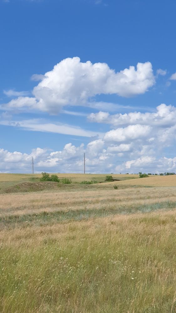 Фотография автора Ольга Меньшенина