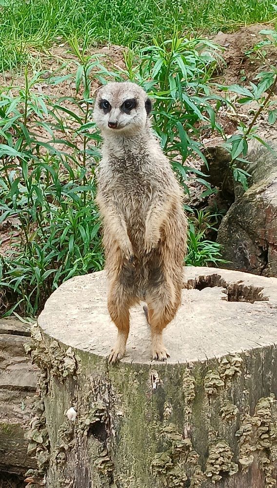Фотография автора Александр
