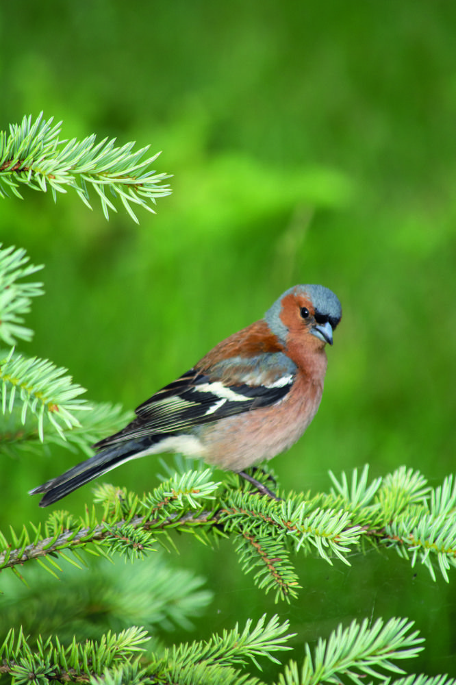 Photograph by Татьяна Огаркова