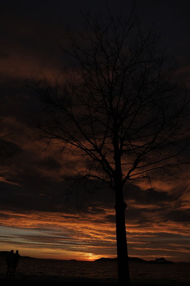 Фотография автора Sadaf Sadeghi