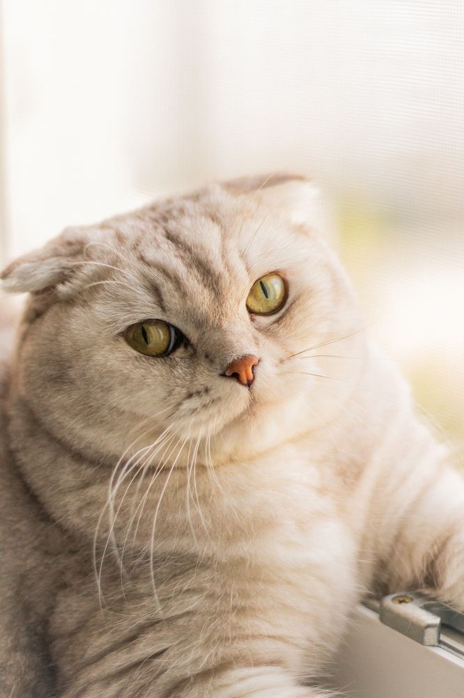 Photograph by Анастасия Лученок