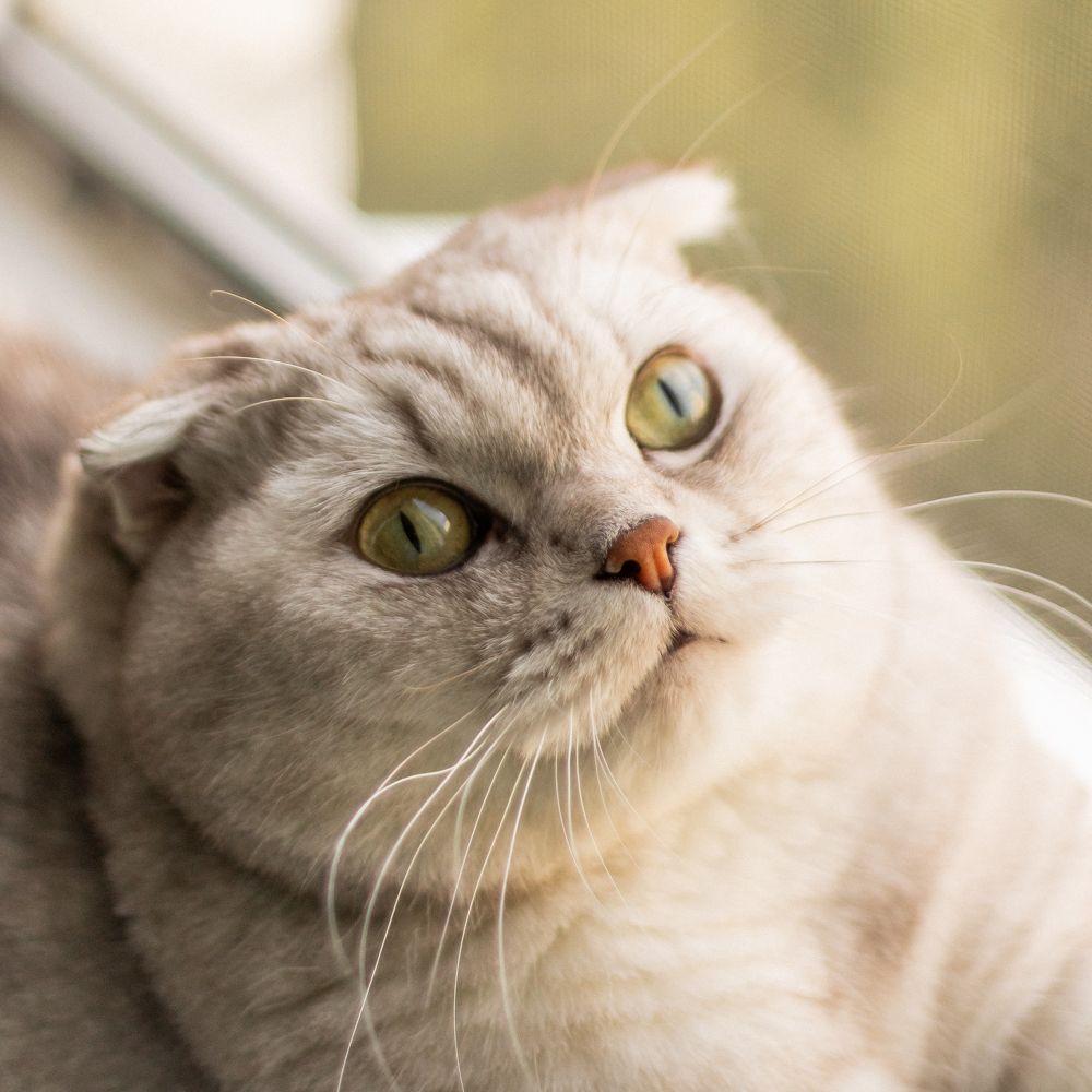 Photograph by Анастасия Лученок