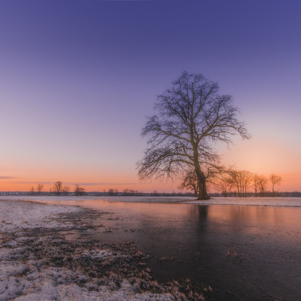 Photograph by Budyta Dariusz