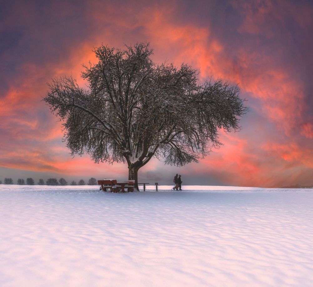 Photograph by Zavaydin Zavaydinov