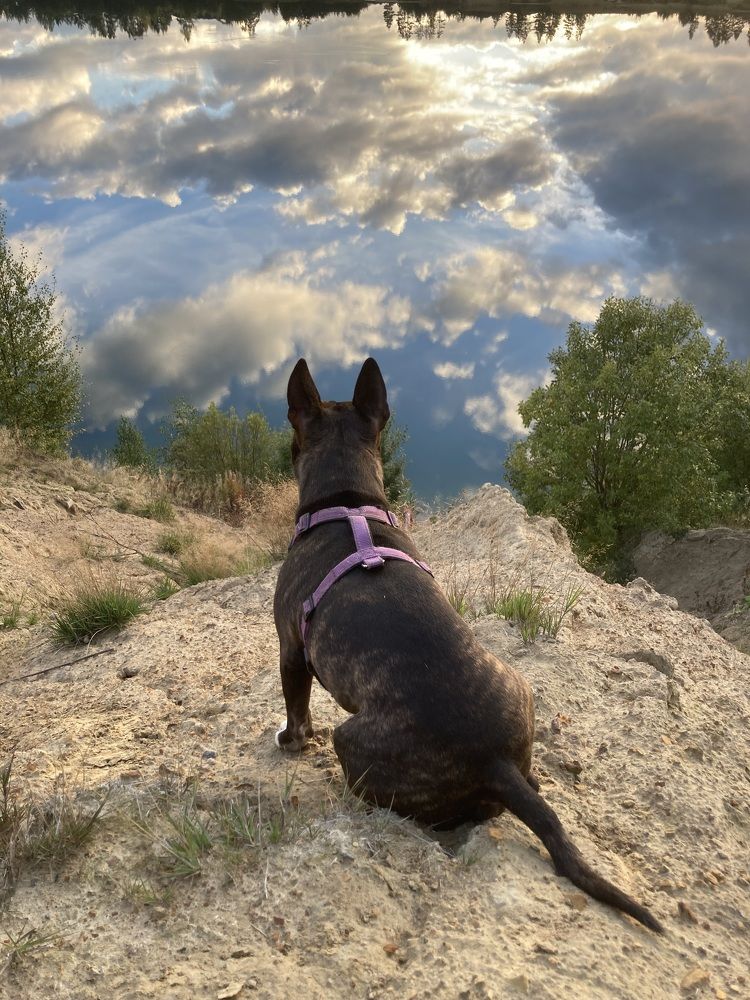 Фотография автора Алина Павлова