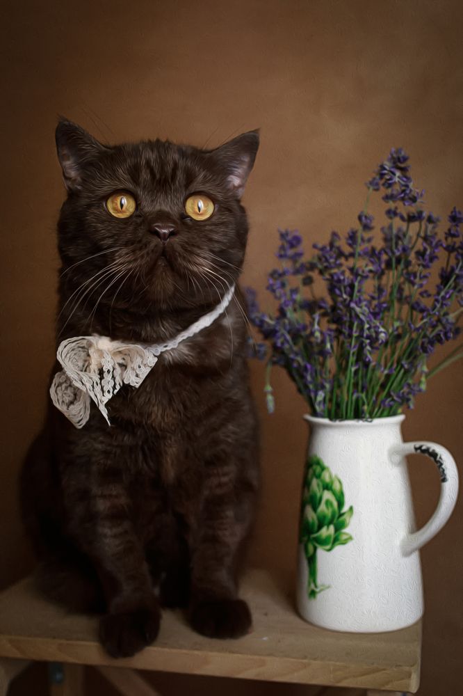 Photograph by Елена Власова