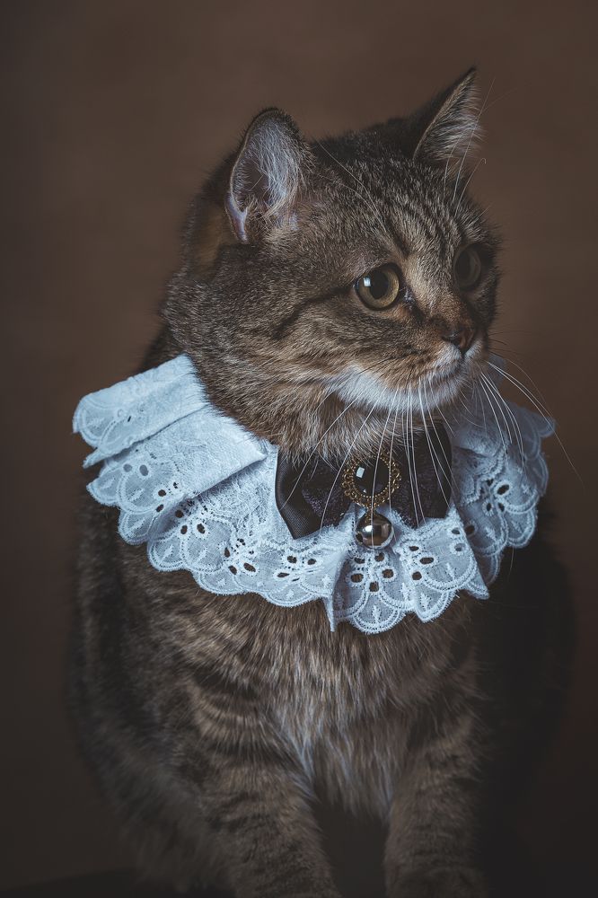 Photograph by Елена Власова