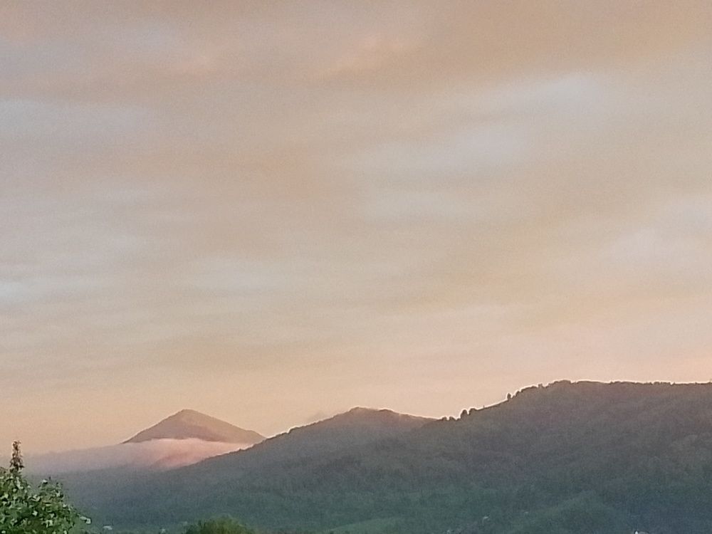 Photograph by Наталья БАЛАБАЕВА