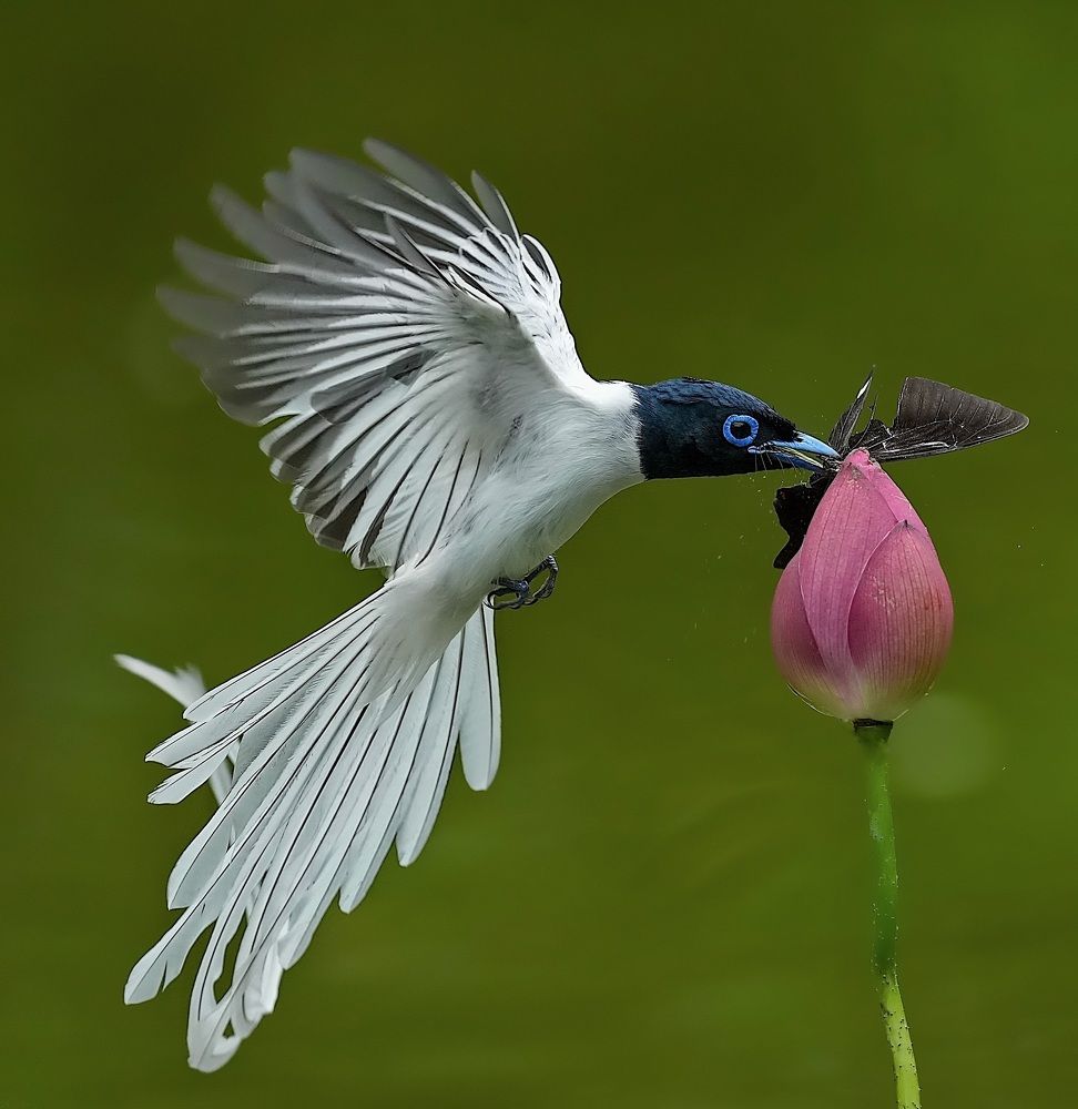 Photograph by Kan Chung Wong