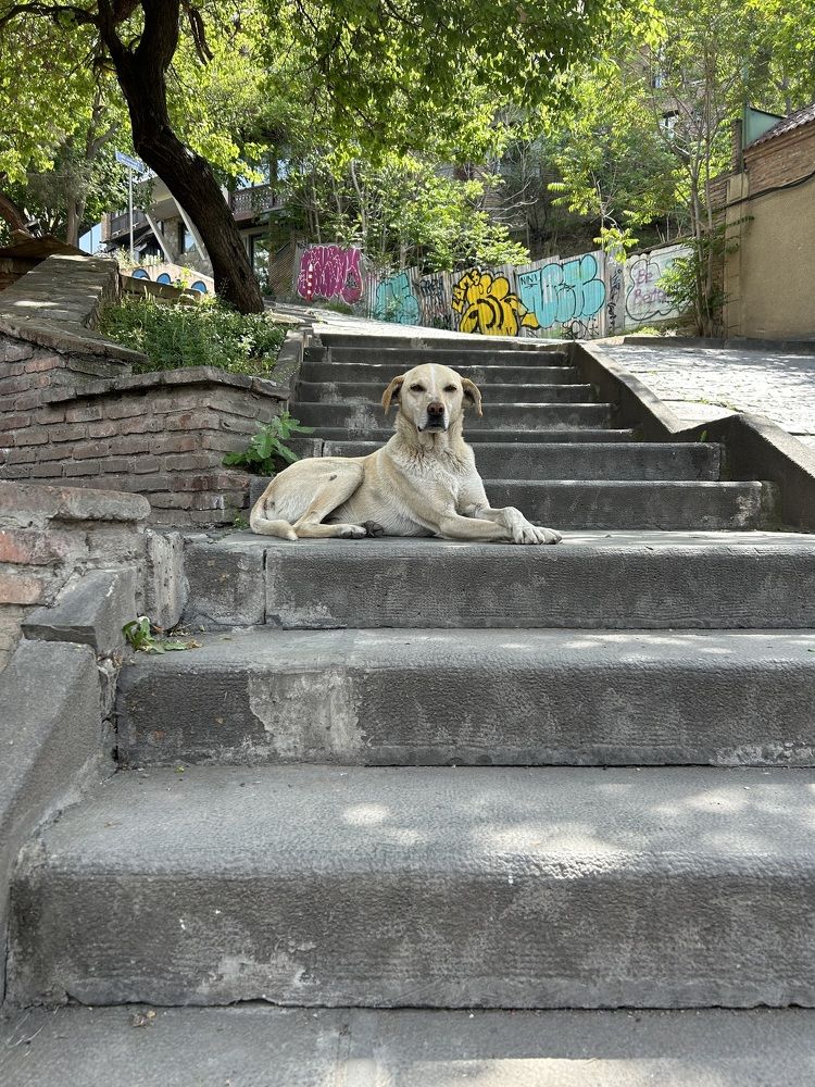 Photograph by Майя Чехова