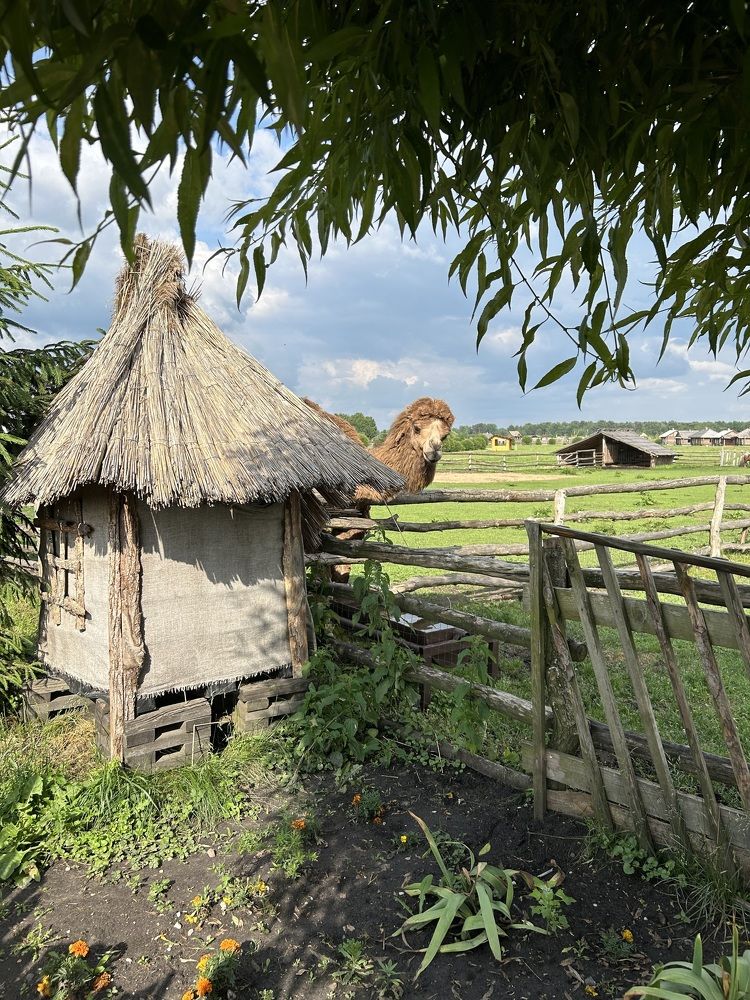 Photograph by Майя Чехова