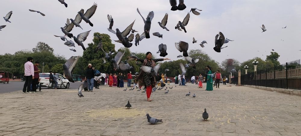 Фотография автора Dipayan Debbarma