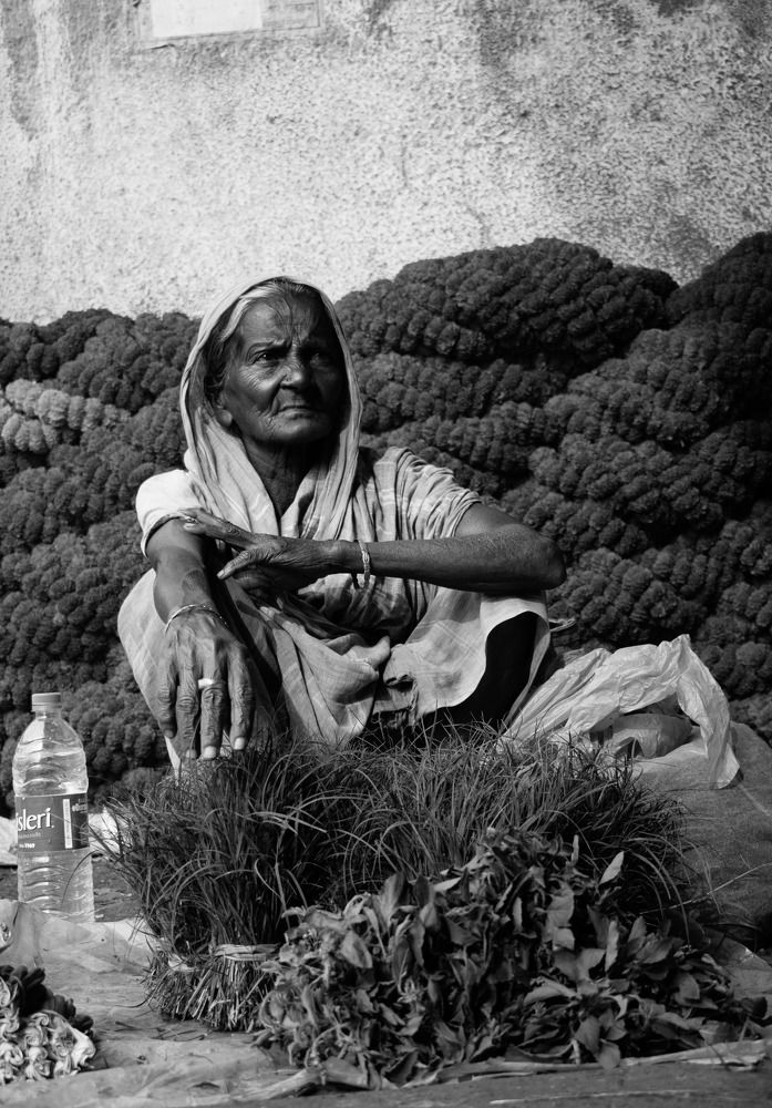 Фотография автора Dipayan Debbarma