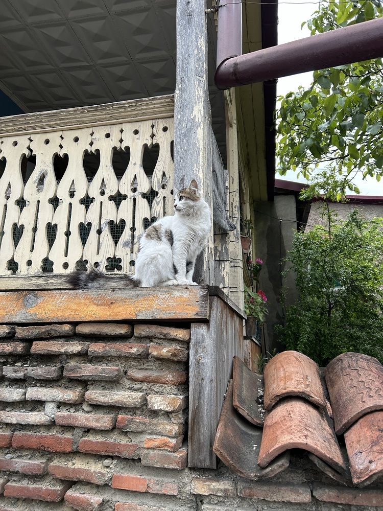 Photograph by Майя Чехова