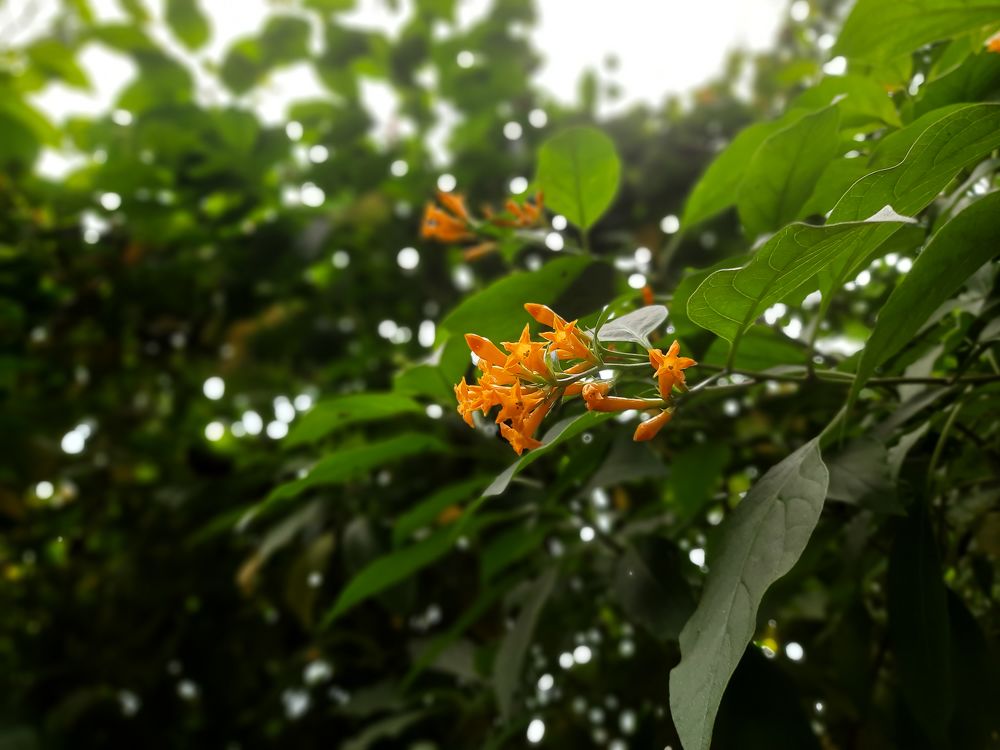 Photograph by Arindam Mullick