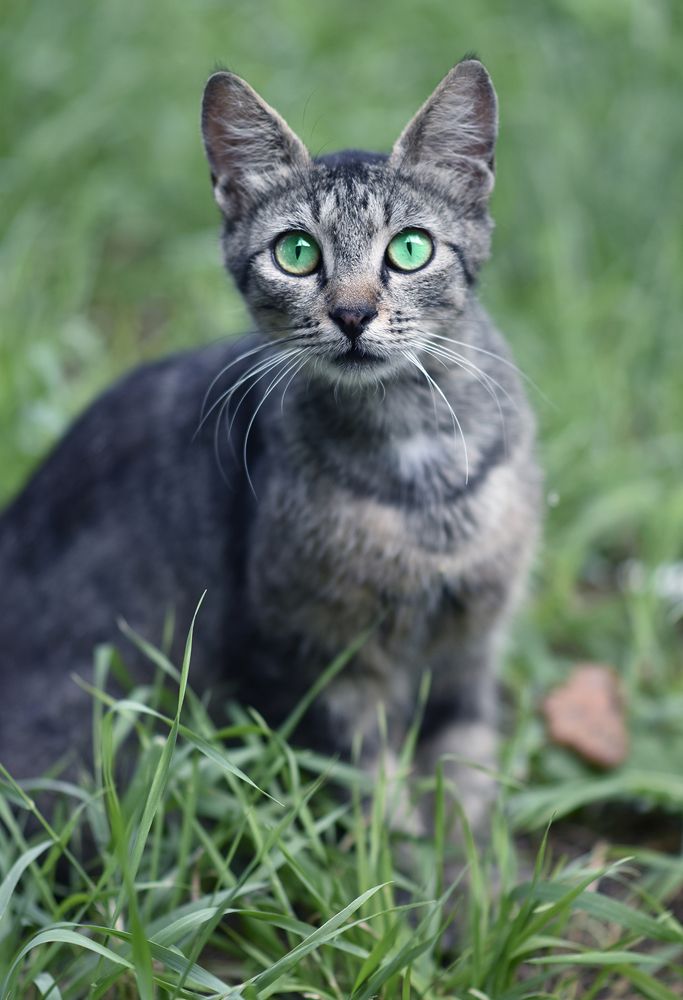 Фотография автора Шипунова Ирина