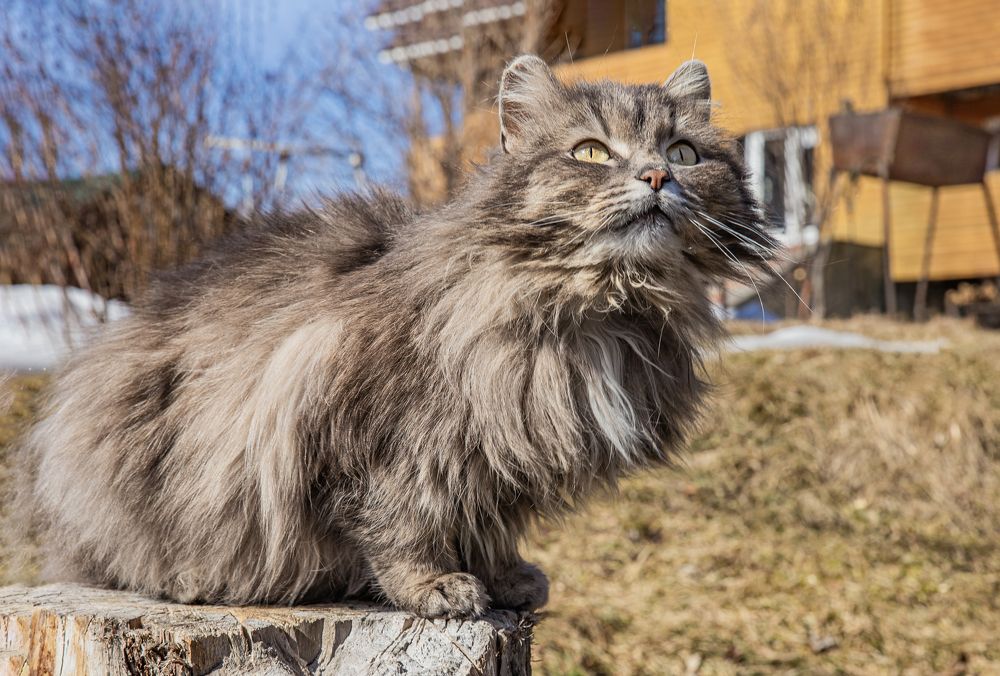 Photograph by Елена Павлова