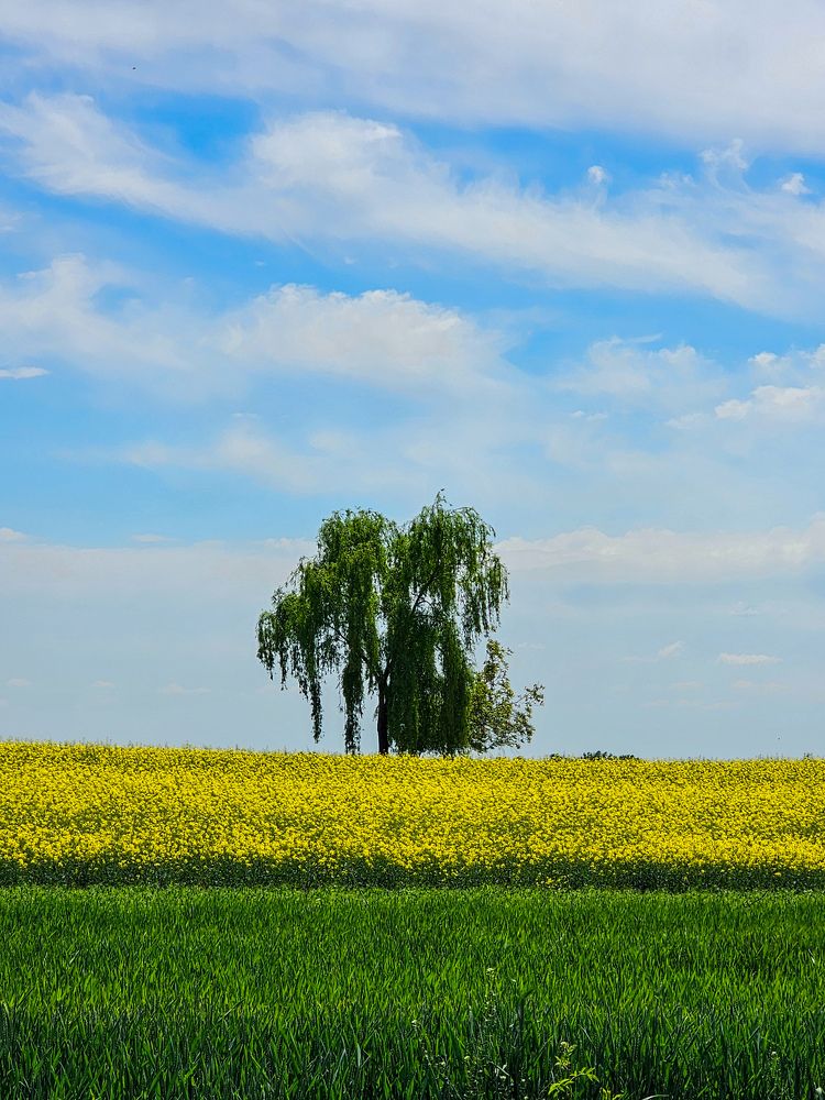 Photograph by George Alexandru Ghiuro