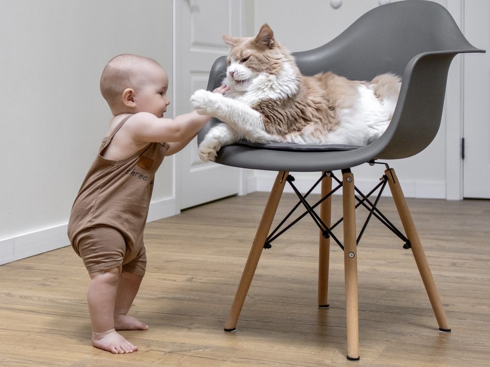 Photograph by Lyudmila Klimanova