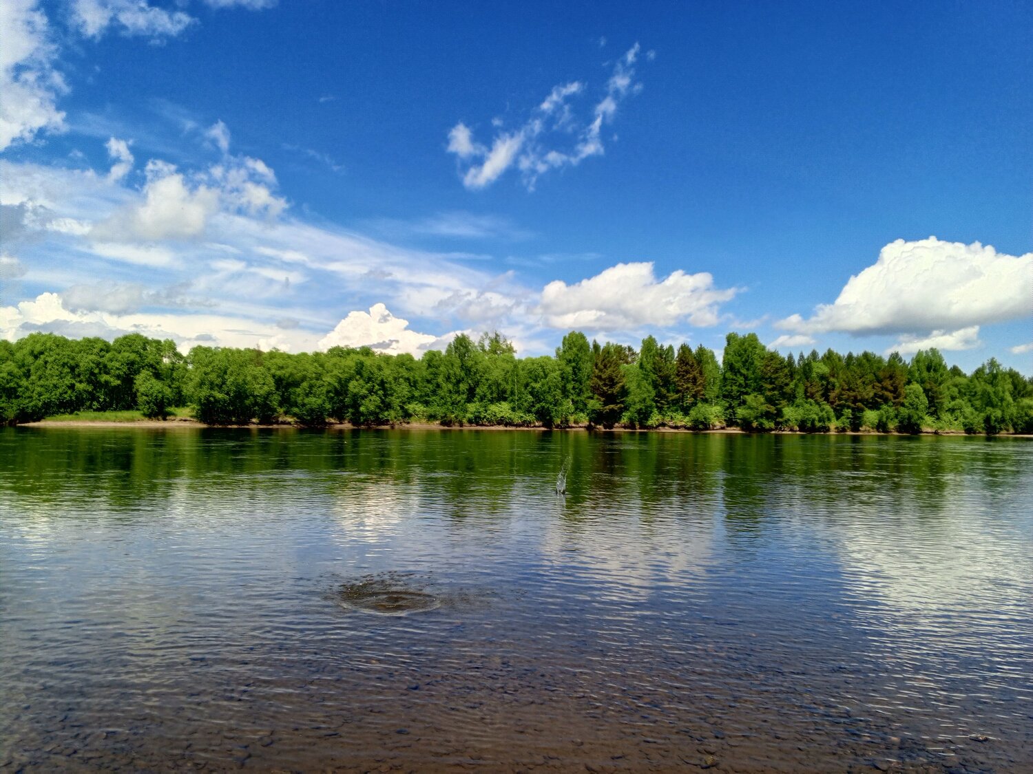Photo #10739222