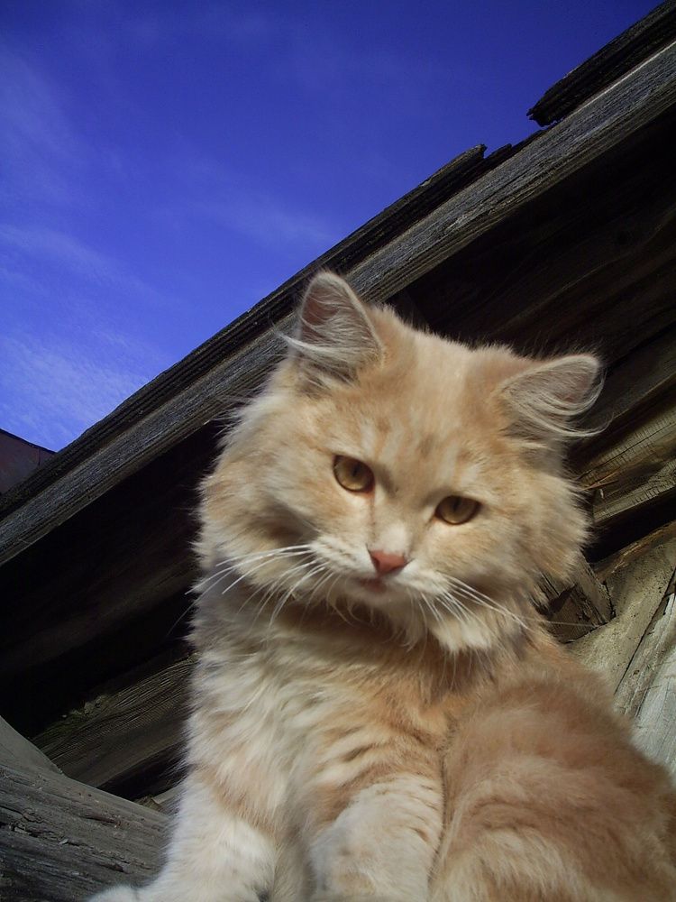 Photograph by Николай Худяков