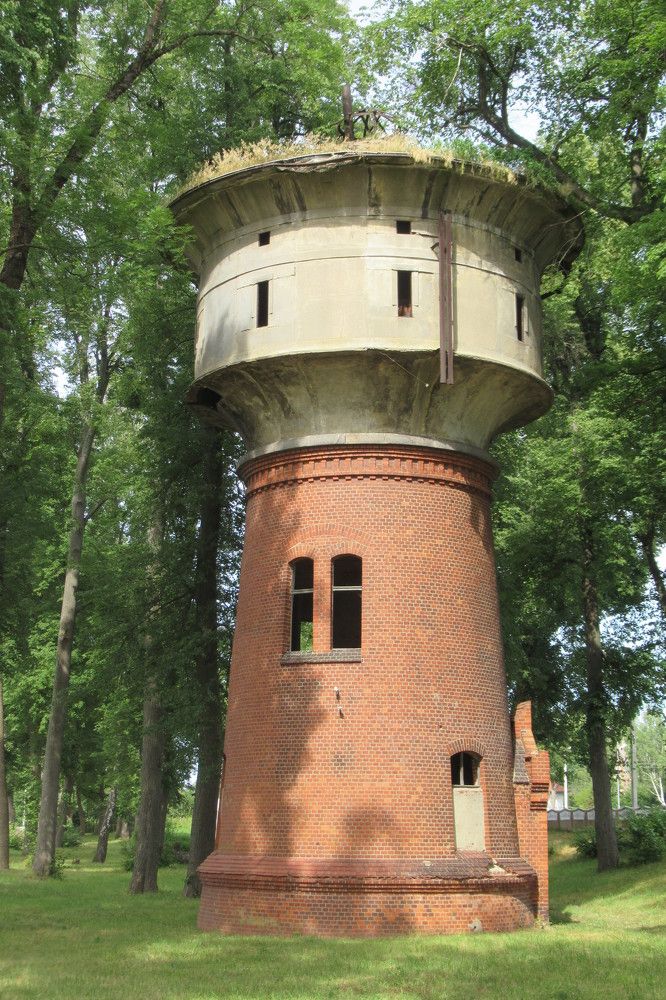 Photograph by Ирина Шведчикова