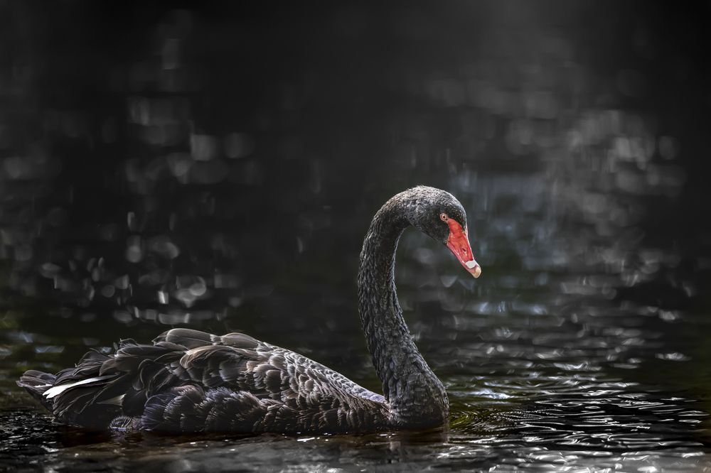 Photograph by Jackie Schletter