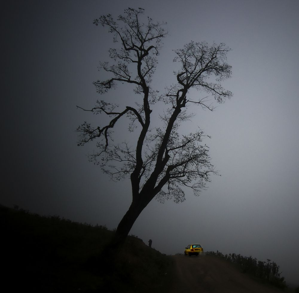 Photograph by Mahdi vagahri shorche