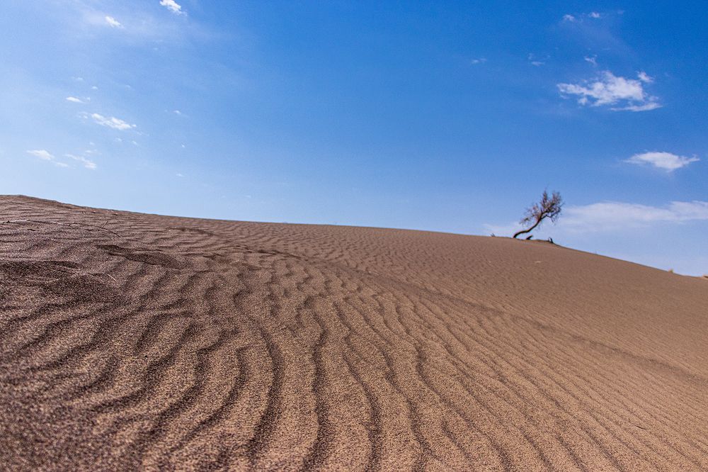 Photograph by Mahdi vagahri shorche