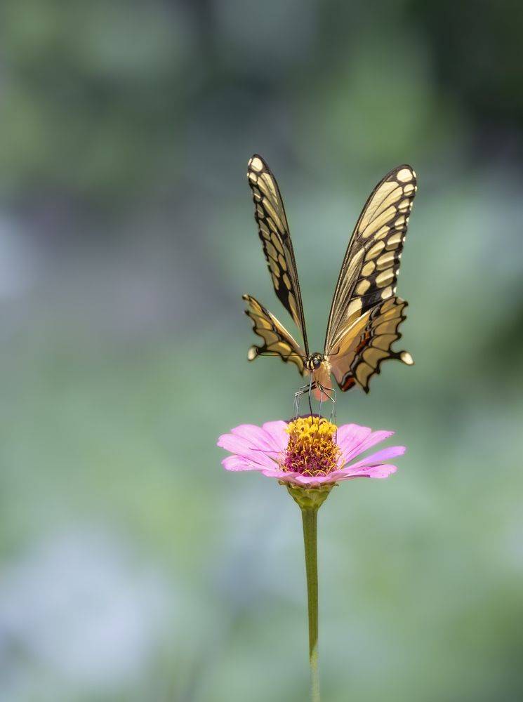 Photograph by Jackie Schletter