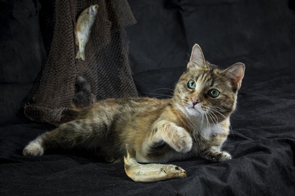 Photograph by Игорь Смирнов