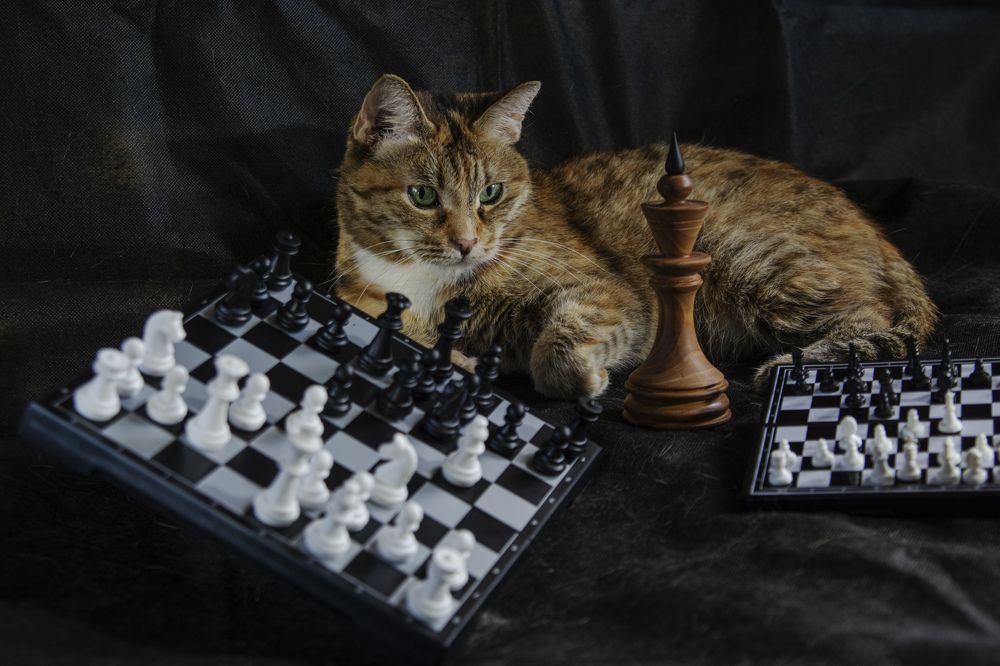 Photograph by Игорь Смирнов