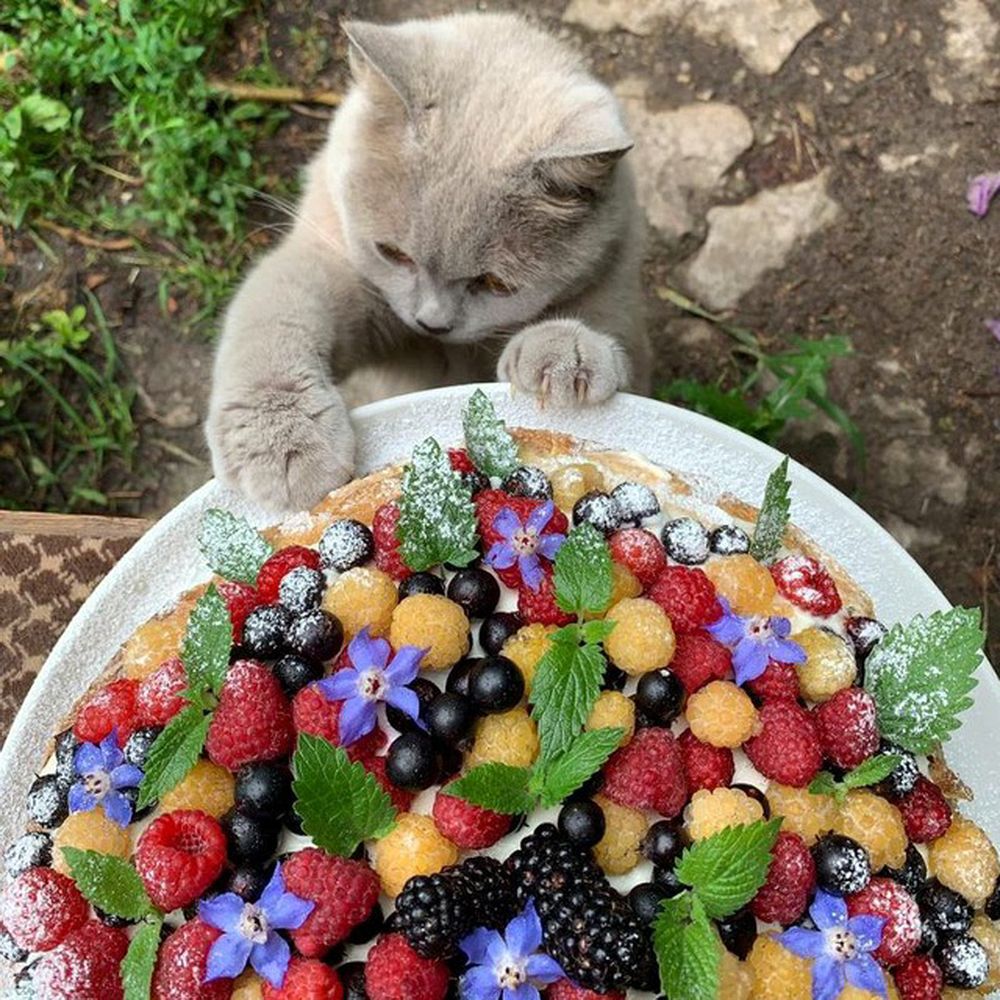 День рождения