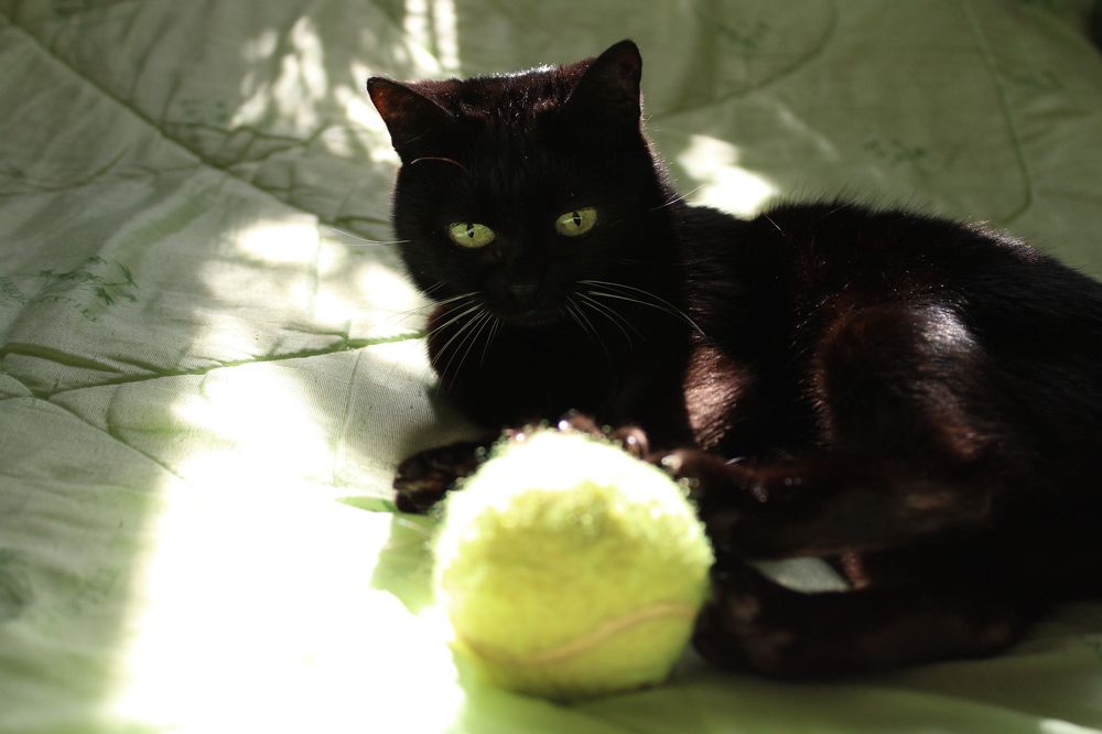 Photograph by Елизавета Огурцова