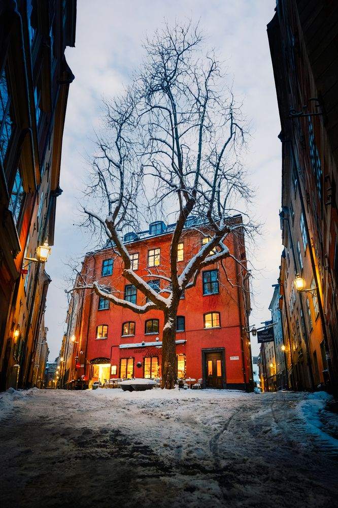 Photograph by Robert Fülöp