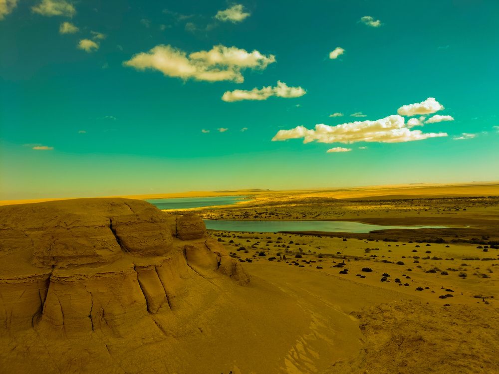 Photograph by Jana Ahmed