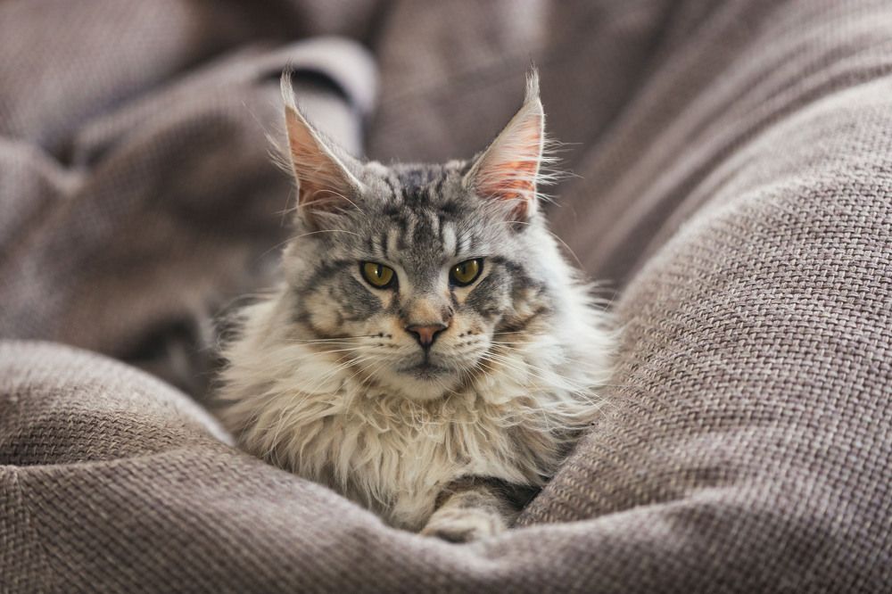 Photograph by ИРЕНА Цурпал