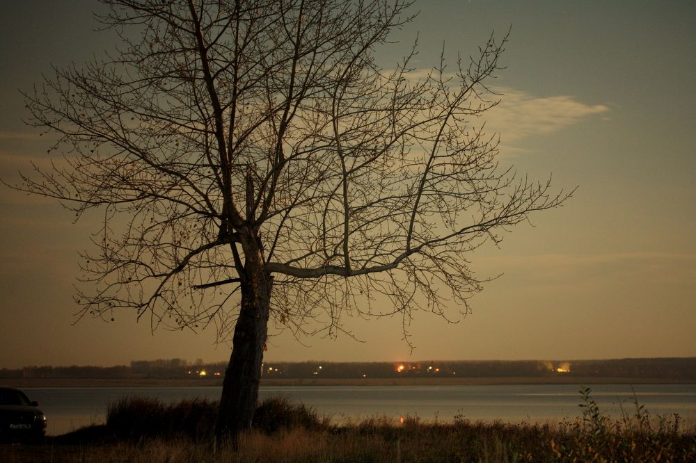 Фотография автора Nelya  Lysenko