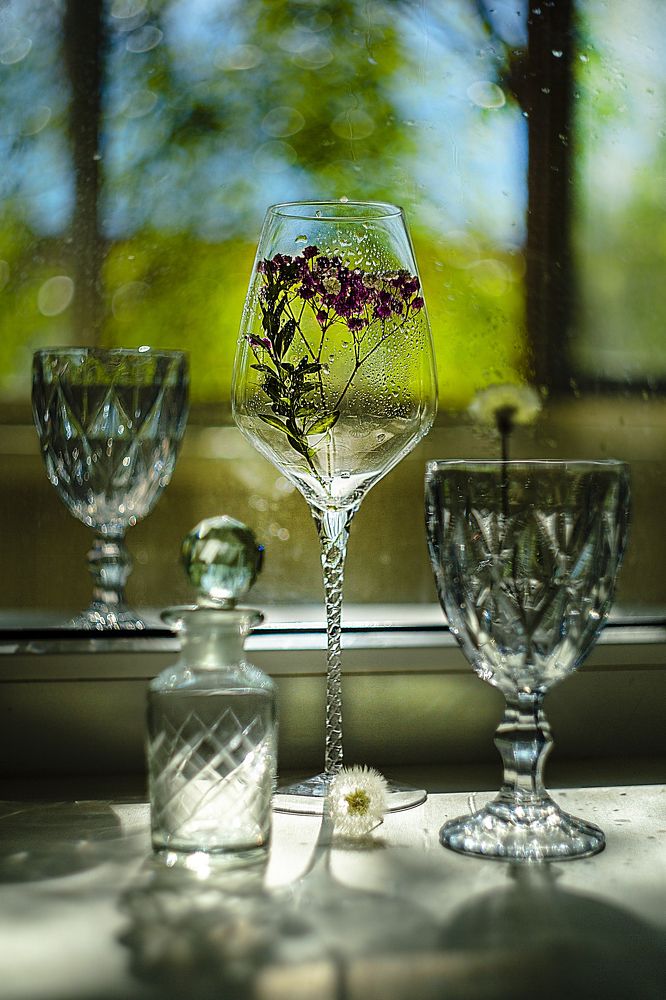 Фотография автора Елена Разина