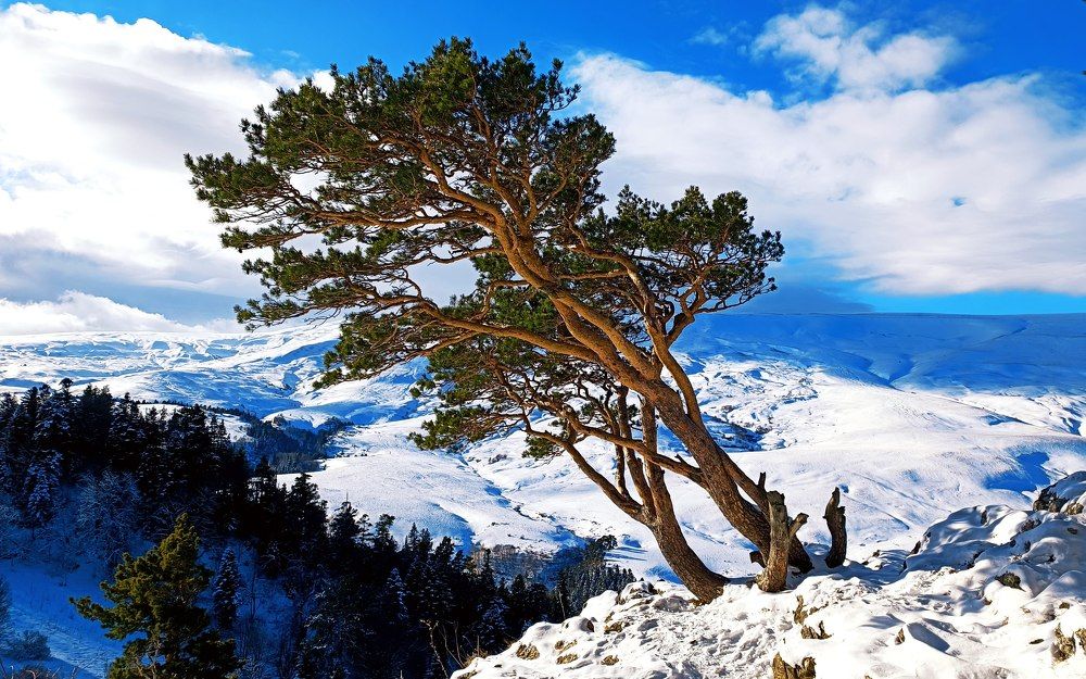 Photograph by Виталий Мартынов