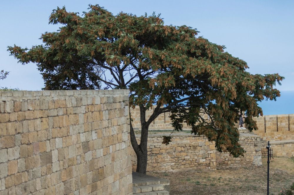 Photograph by Владимир Охрименко