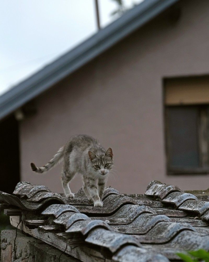 Фотография автора Nastasya Sablina