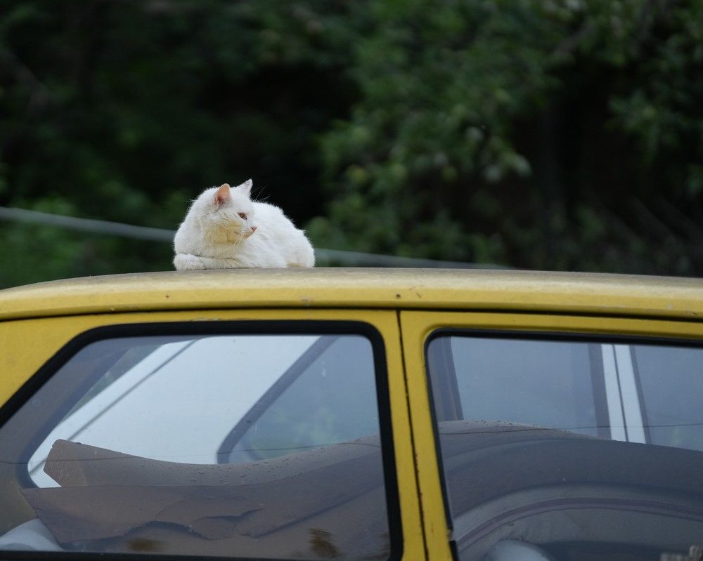 Фотография автора Nastasya Sablina