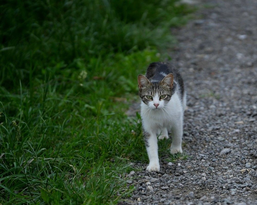 Фотография автора Nastasya Sablina