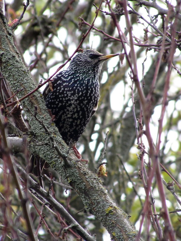 Photograph by Елена Кузнецова