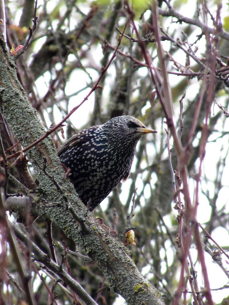 Photograph by Елена Кузнецова